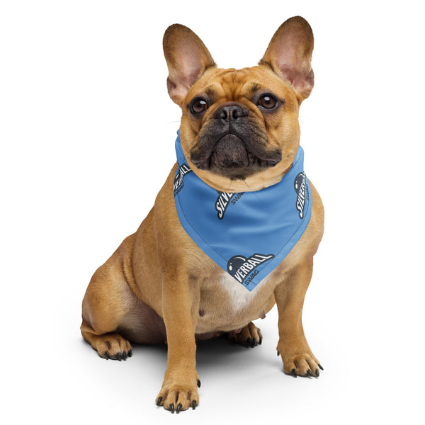 Silverball Swag - All-over print bandana