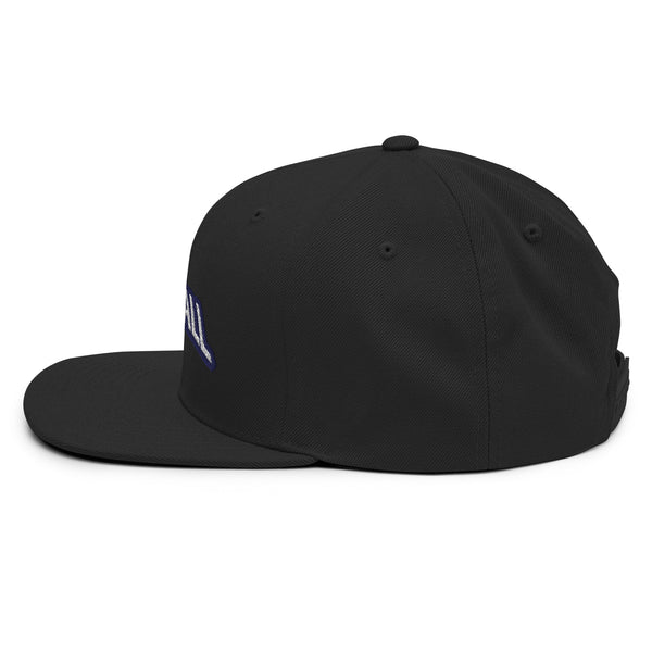 Silverball Swag -  Snapback Hat