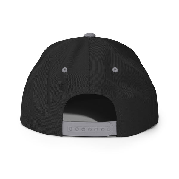 Silverball Swag -  Snapback Hat