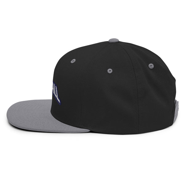 Silverball Swag -  Snapback Hat