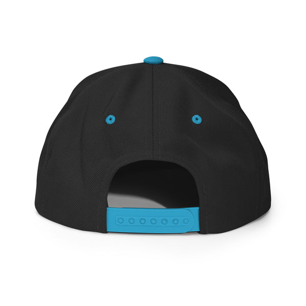 Silverball Swag -  Snapback Hat