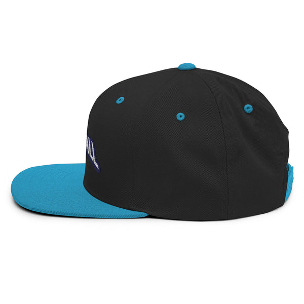 Silverball Swag -  Snapback Hat