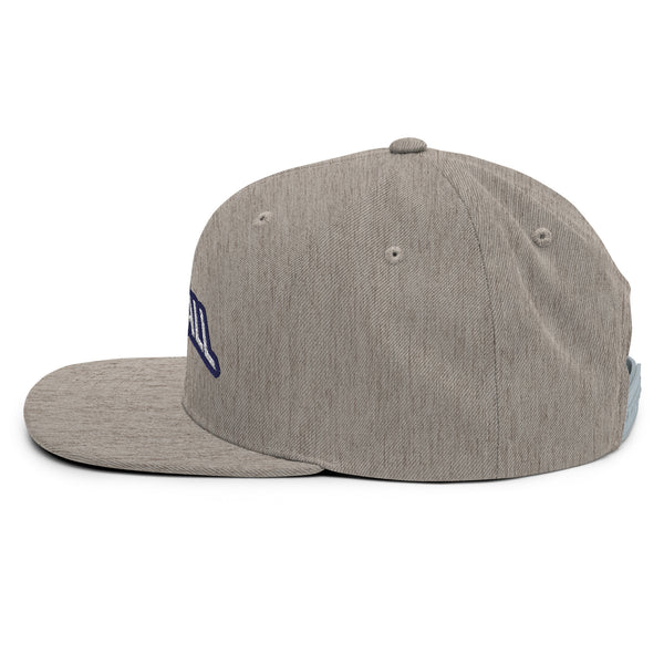 Silverball Swag -  Snapback Hat