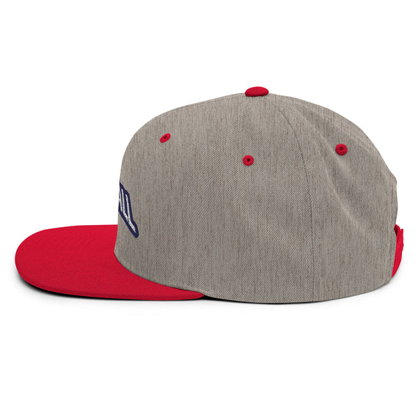 Silverball Swag -  Snapback Hat