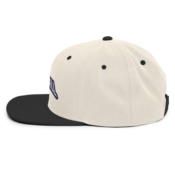 Silverball Swag -  Snapback Hat