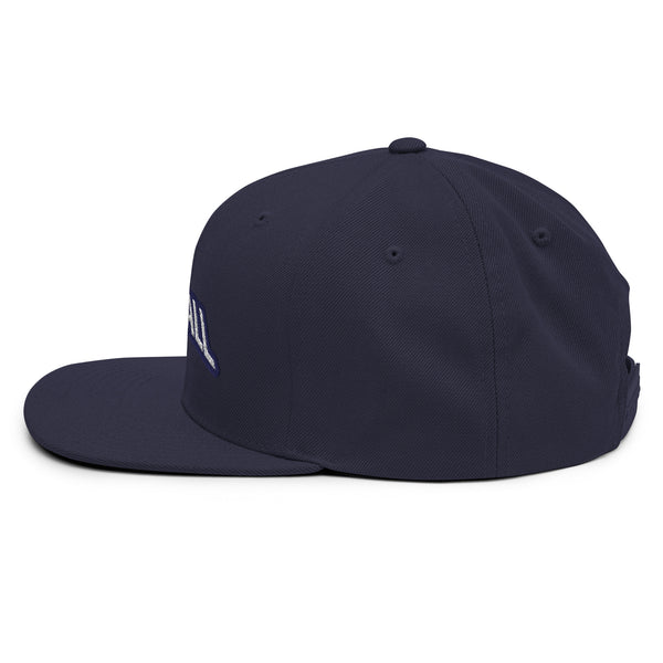 Silverball Swag -  Snapback Hat