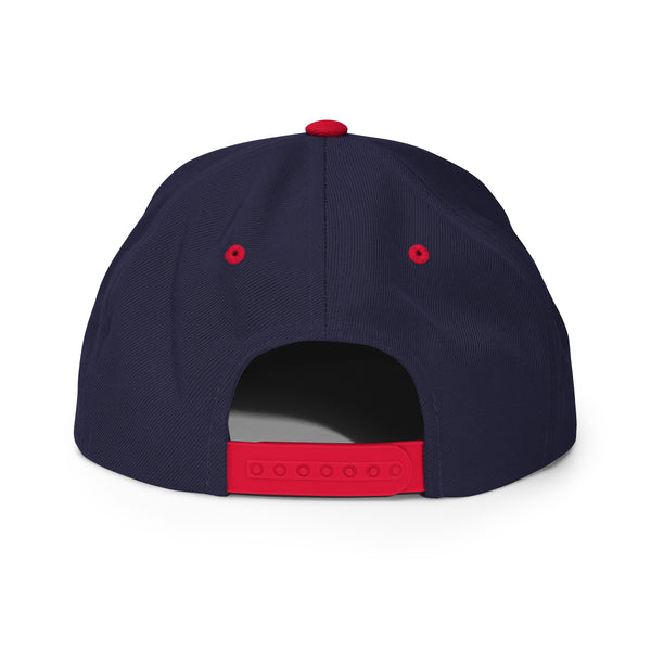 Silverball Swag -  Snapback Hat