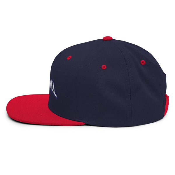 Silverball Swag -  Snapback Hat