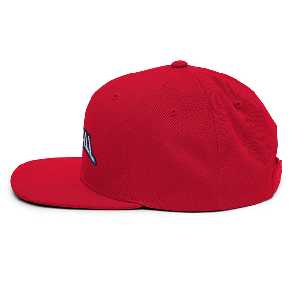 Silverball Swag -  Snapback Hat
