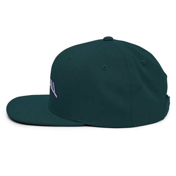 Silverball Swag -  Snapback Hat