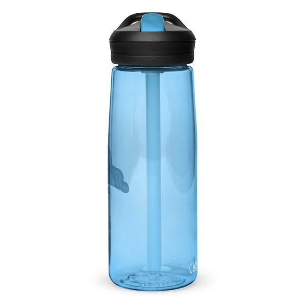 Silverball Swag - Sports water bottle