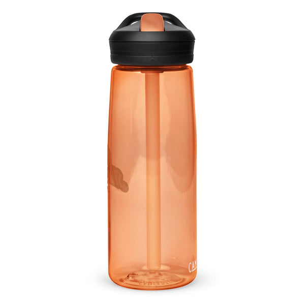 Silverball Swag - Sports water bottle