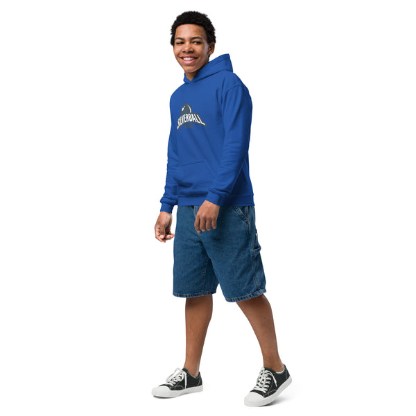 Silverball Swag "Premium" - Youth heavy blend hoodie