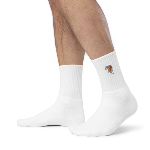 Silverball Swagger - Embroidered socks